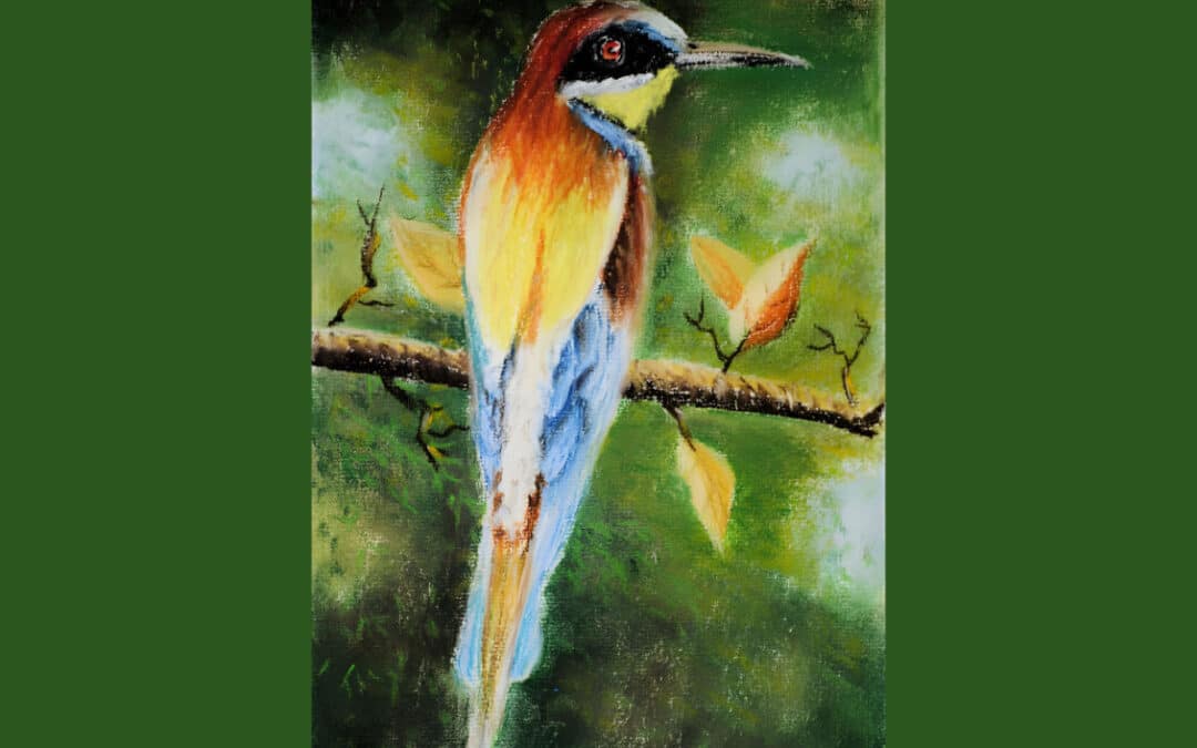 How to Draw a European Bee-Eater in Pastel