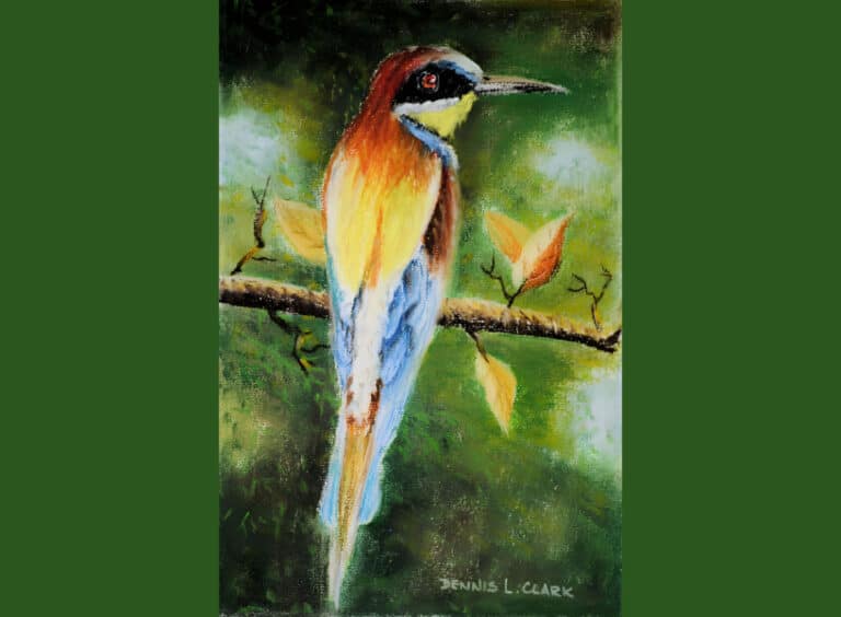 How to Draw a European Bee-Eater in Pastel