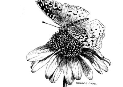 How to Draw a Butterfly on a Flower in Pen and Ink