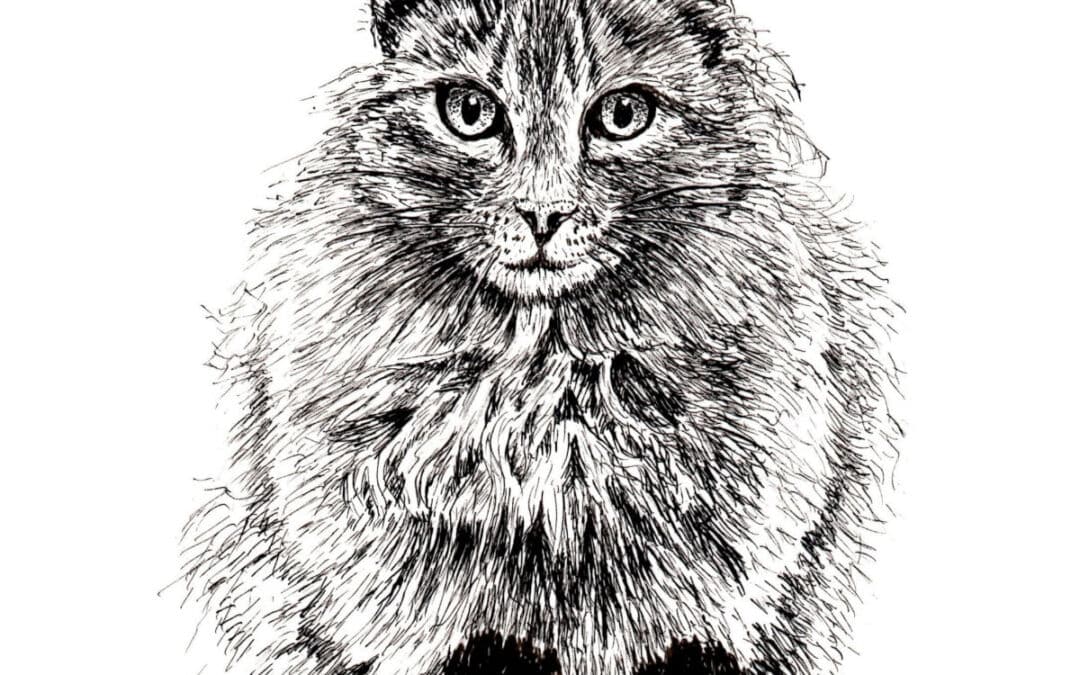 How to Draw a Cat on a Log in Pen and Ink