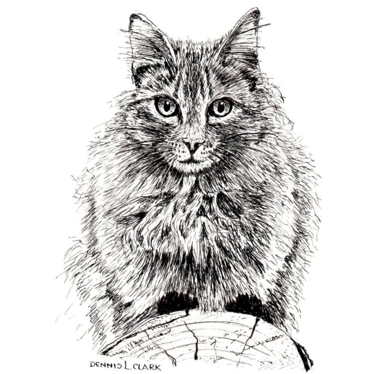 How to Draw a Cat on a Log in Pen and Ink