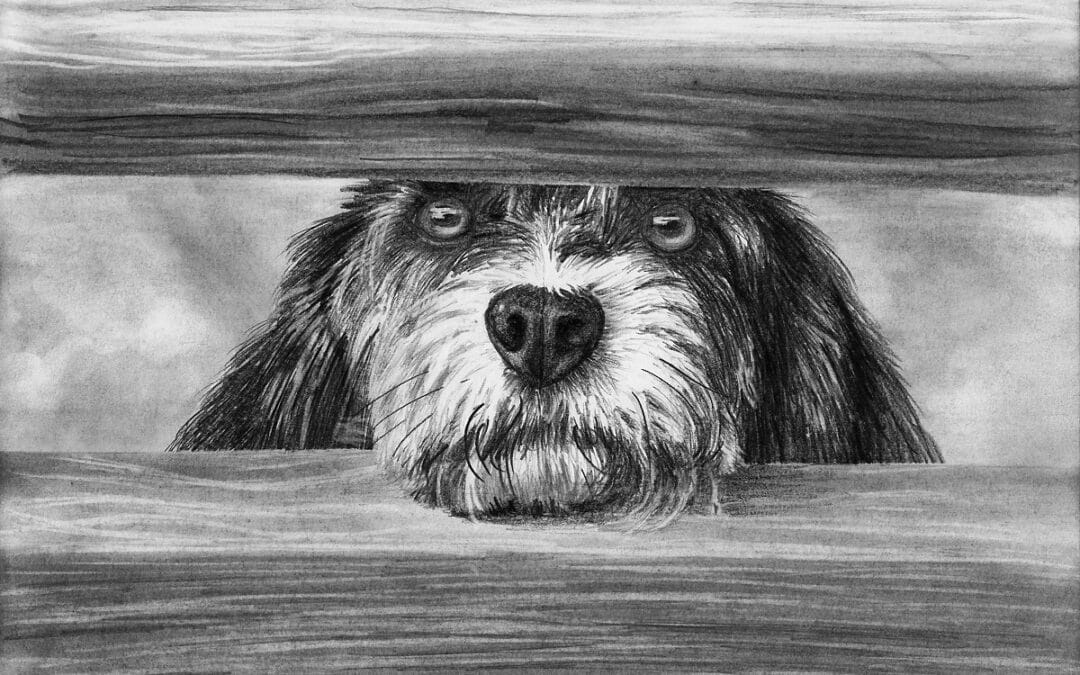 How to Draw a Dog at the Gate