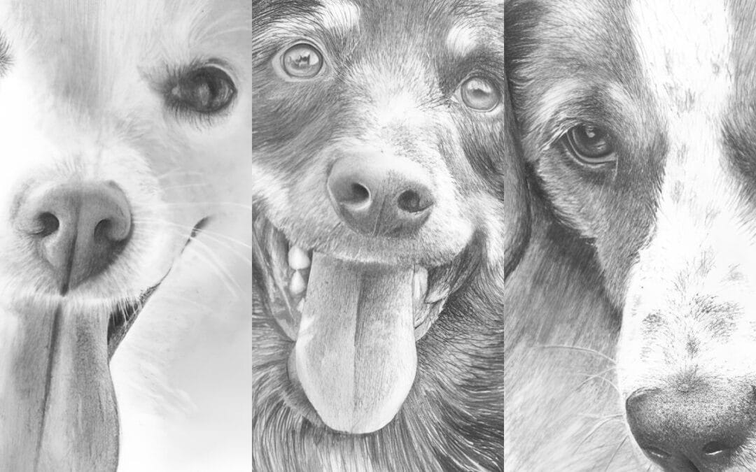 How to Draw Dogs Course