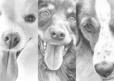 How to Draw Dogs Course