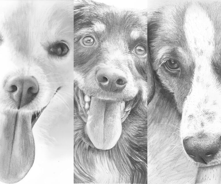 How to Draw Dogs Course