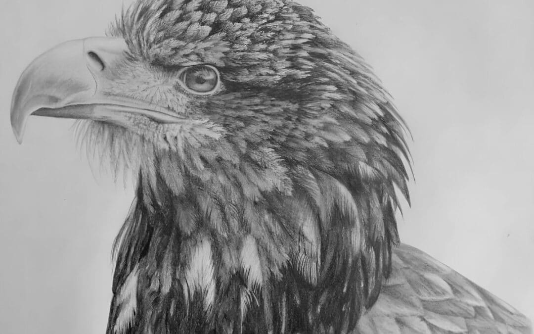 How to Draw an Eagle