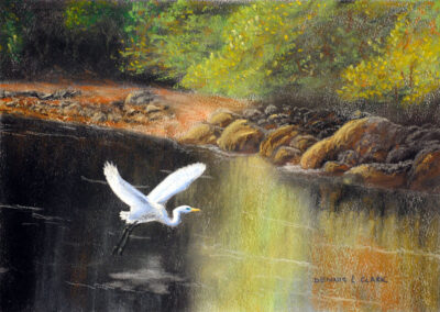 How to Draw an Egret in Pastel