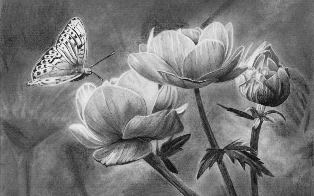 How to Draw a Butterfly on a Flower