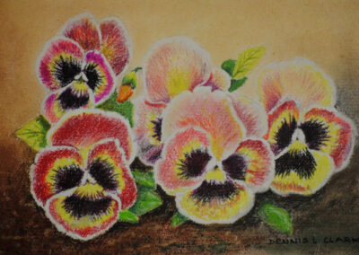 How to Draw Pansy Flowers in Pastel