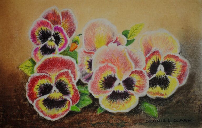 How to Draw Pansy Flowers in Pastel