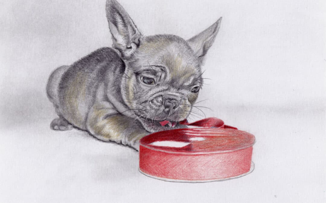 How to Draw a Puppy