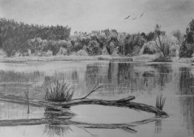 How to Draw Reflective Water