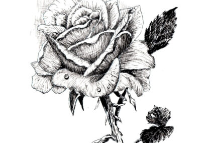 How to Draw a Rose in Pen and Ink