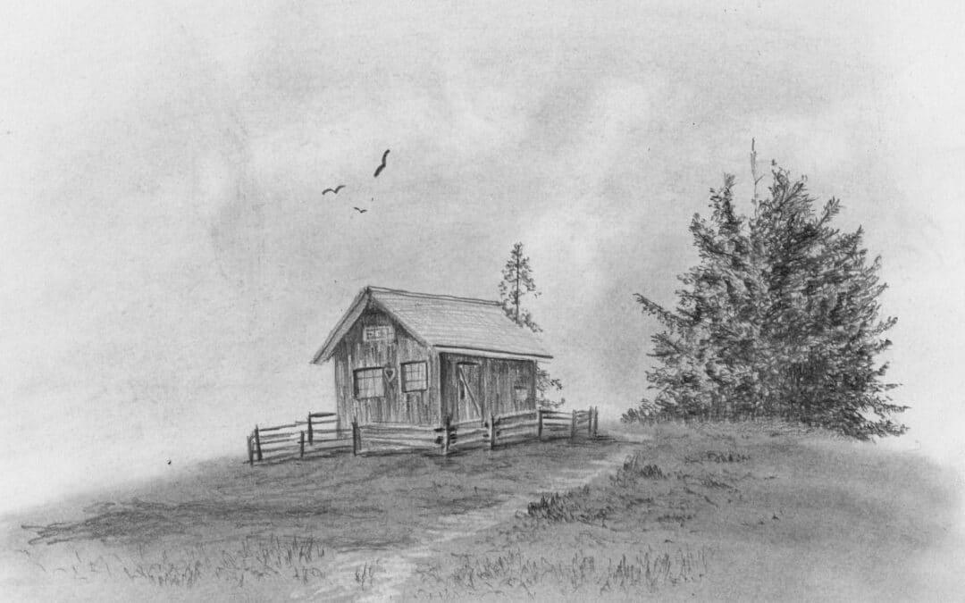 How to Draw Trees & Grass