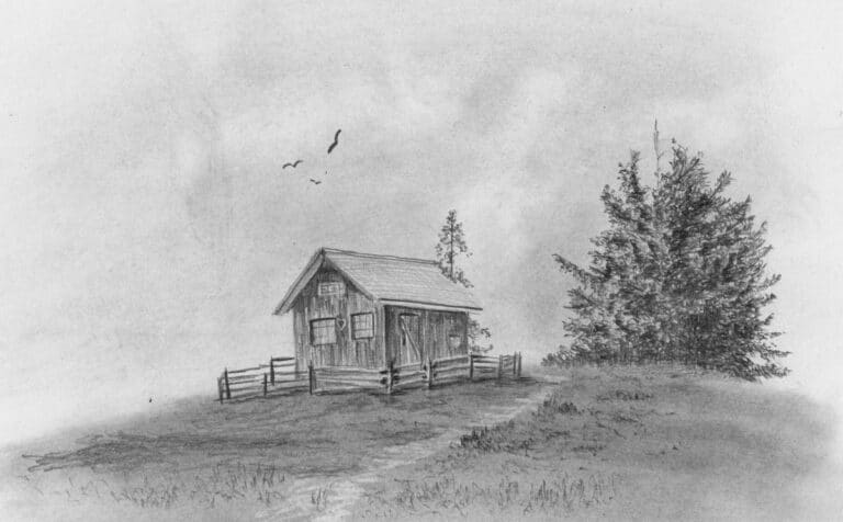 How to Draw Trees & Grass