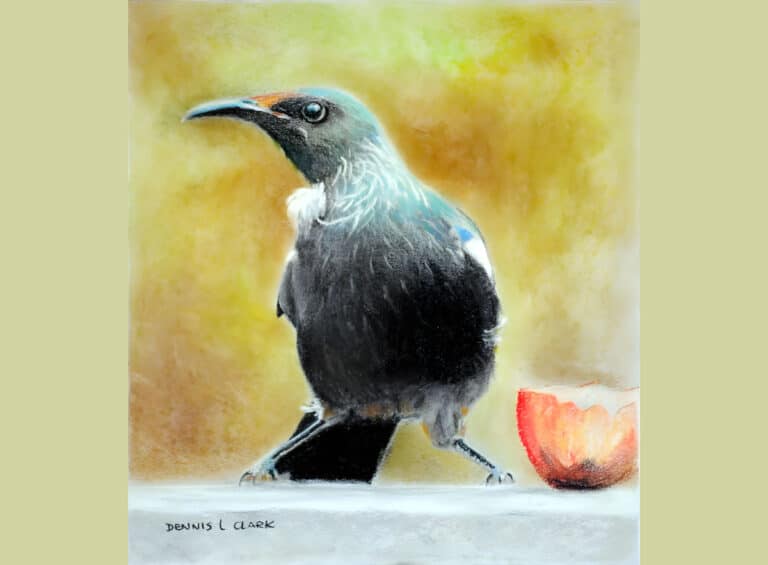 How to Draw a Tui at an Apple in Pastel
