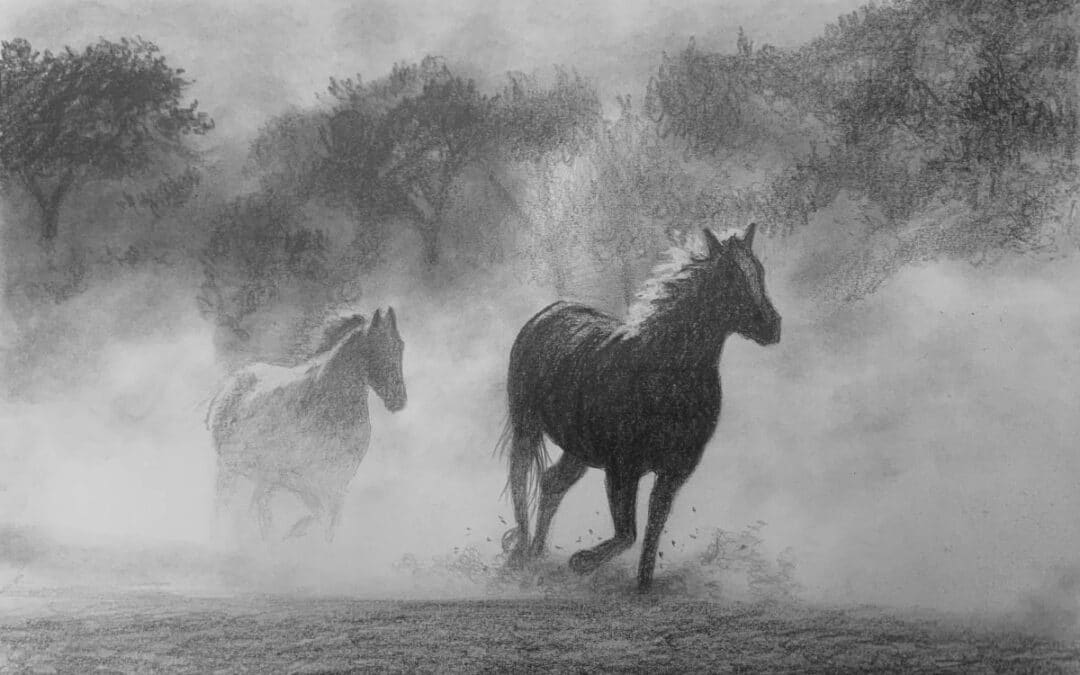 How to Draw Wild Horses