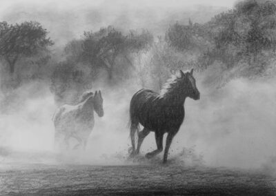 How to Draw Wild Horses