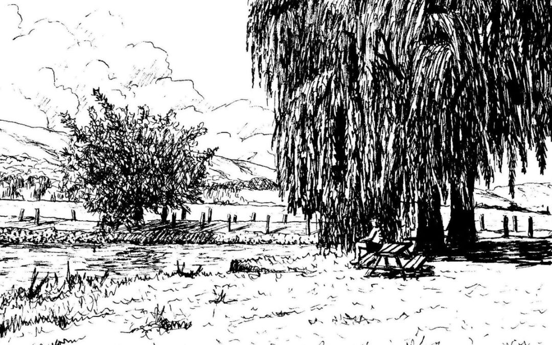 How to Draw a Willow Tree in Pen & Ink