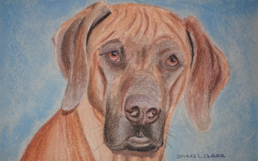 How to Draw a Dog Portrait in Pastel