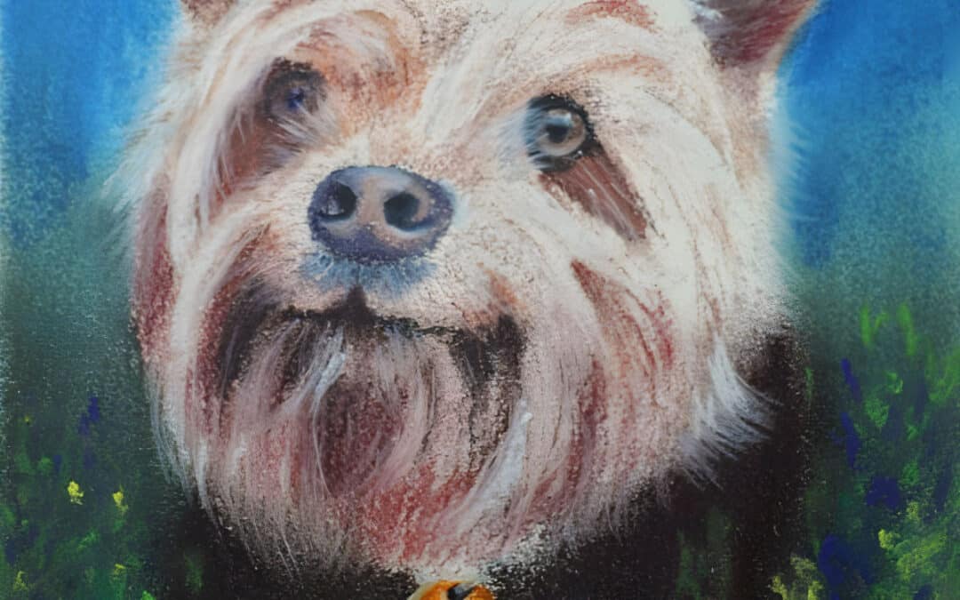 How to Draw a Long Hair Dog in Pastel