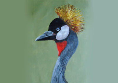 How to Paint a Crowned Crane Portrait in Acrylic