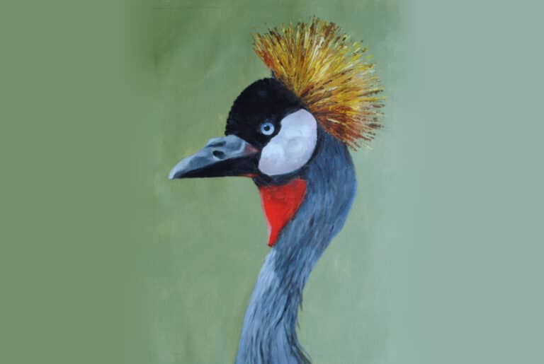 Paint a Crane Portrait in Acrylic