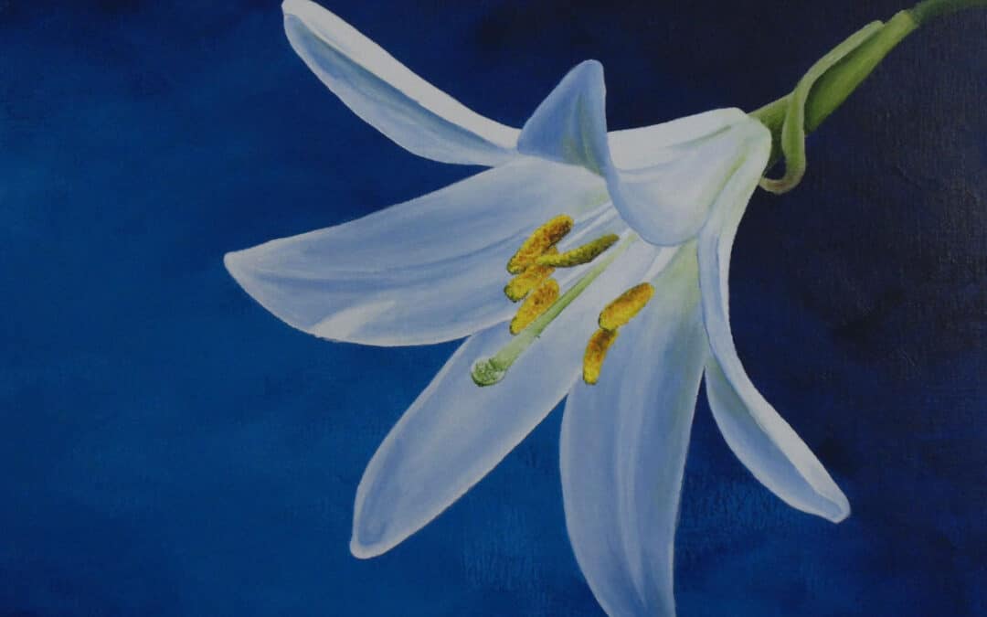 How to Paint a Daylily in Acrylic