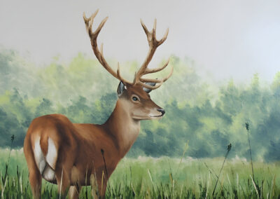 How to Paint a Deer in Oil