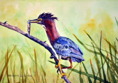 How to Paint a Heron and Fish in Watercolor