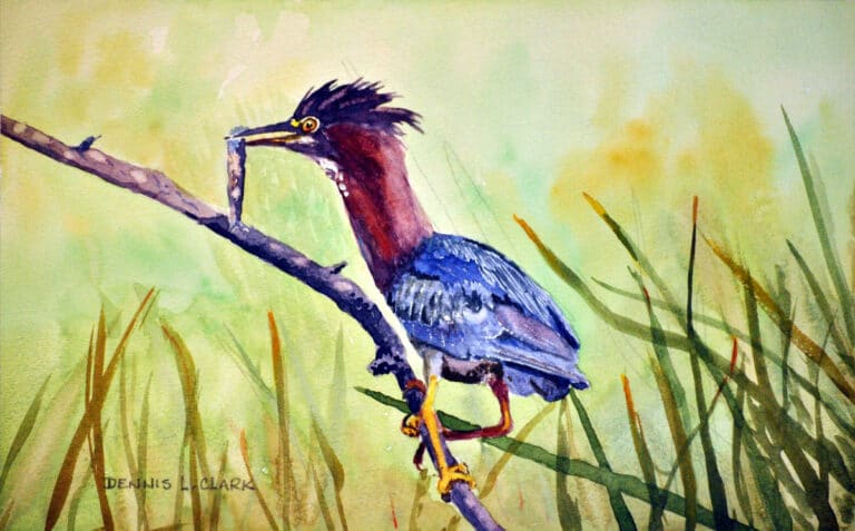 How to Paint a Heron and Fish in Watercolor
