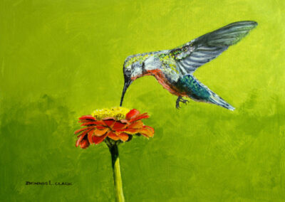 How to Paint a Humming Bird at Zinnia in Acrylic