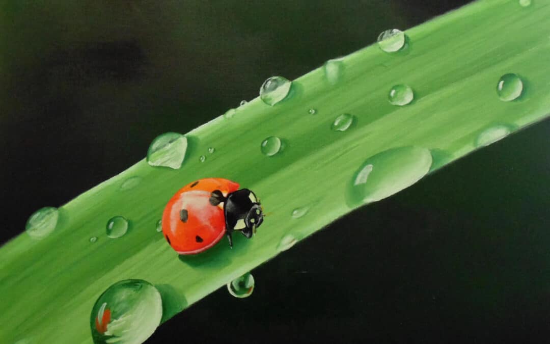 How to Paint a Ladybug in Oil