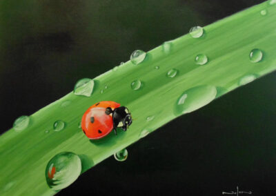 How to Paint a Ladybug in Oil