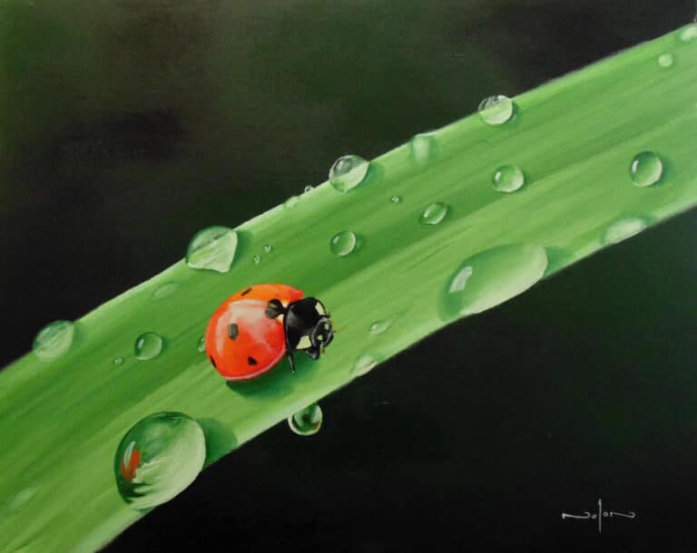 How to Paint a Ladybug in Oil