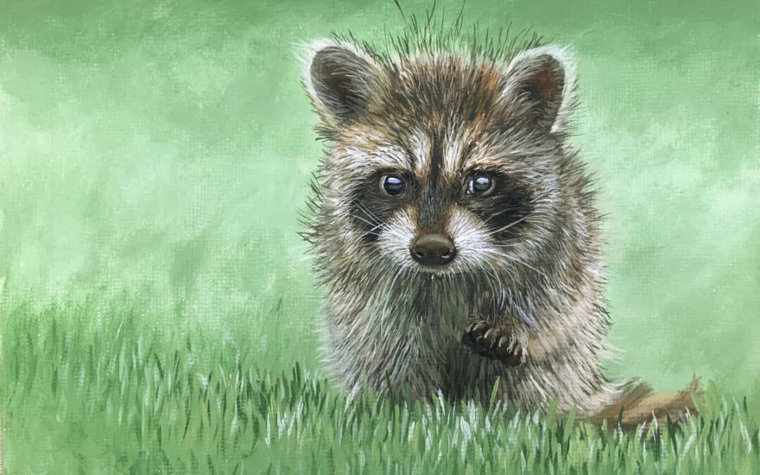 How to Paint a Raccoon in Oil