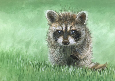 How to Paint a Raccoon in Oil