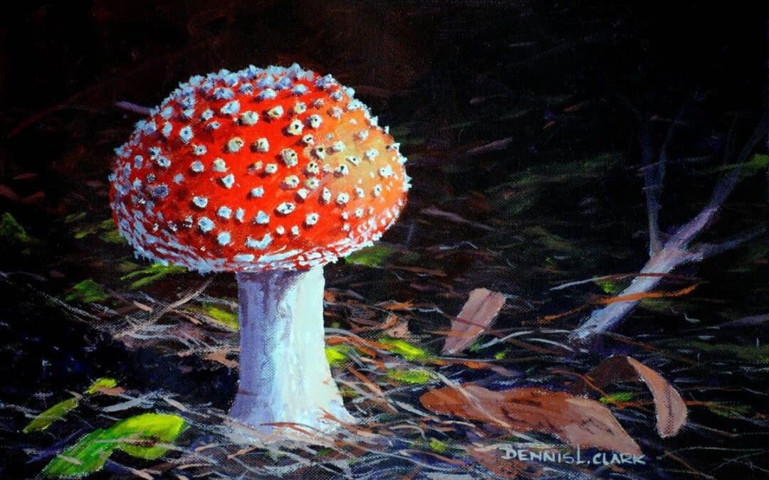 How to Paint a Red Toadstool in Acrylic