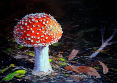 How to Paint a Red Toadstool in Acrylic