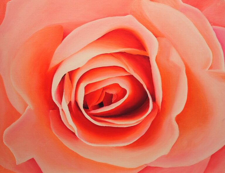 How to Paint a Rose in Oil