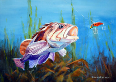 How to Paint a Sea Bass in Acrylic