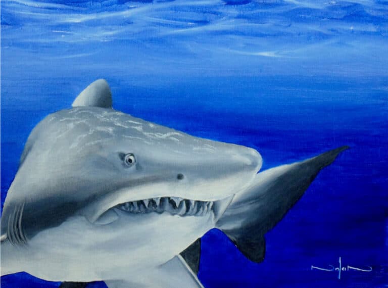 How to Paint a Shark in Oil