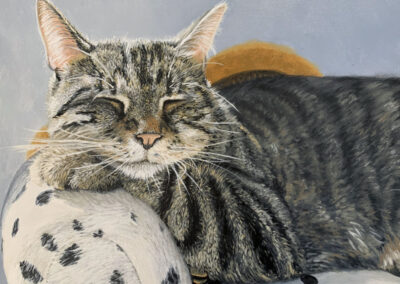 How to Paint a Tabby Cat in Oil