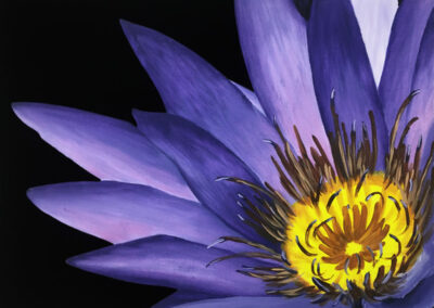 How to Paint a Water Lily in Oil