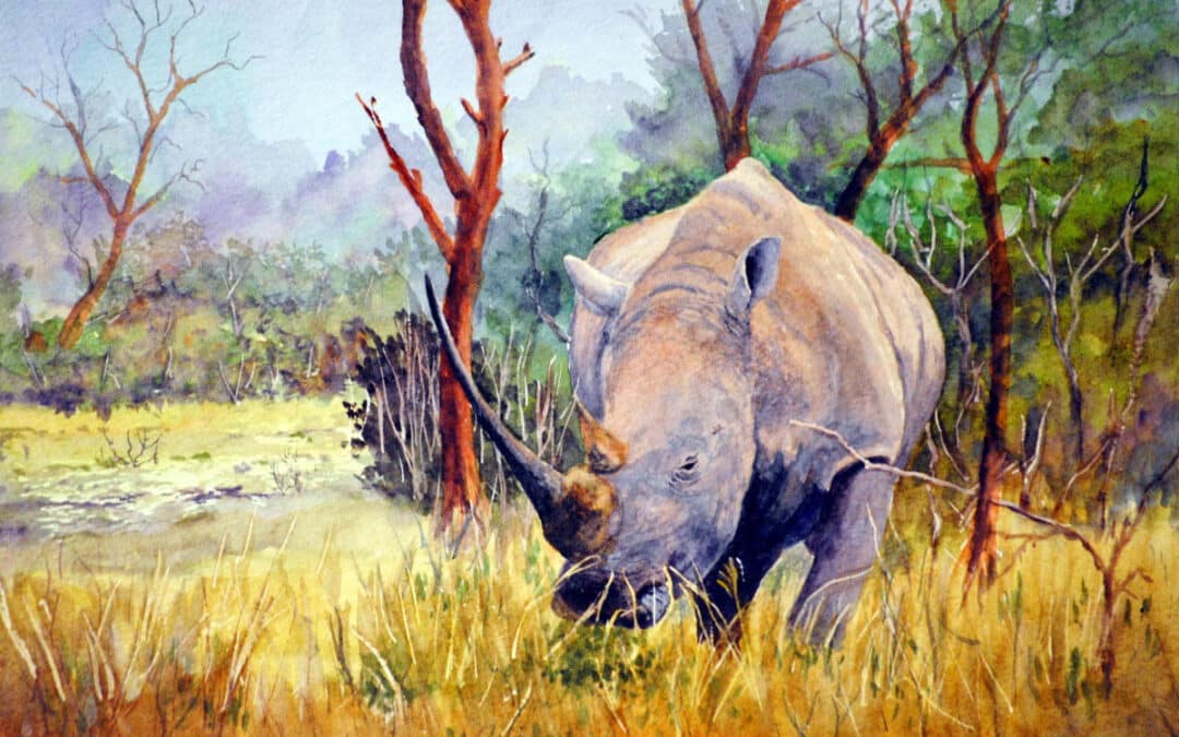 How to Paint a White Rhino in Watercolour