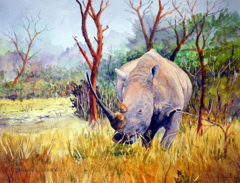 How to Paint a White Rhino in Watercolour