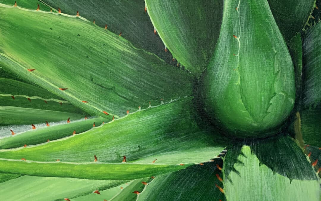 How to Paint an Aloe in Acrylic