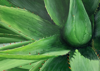 How to Paint an Aloe in Acrylic