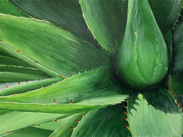 How to Paint an Aloe in Acrylic