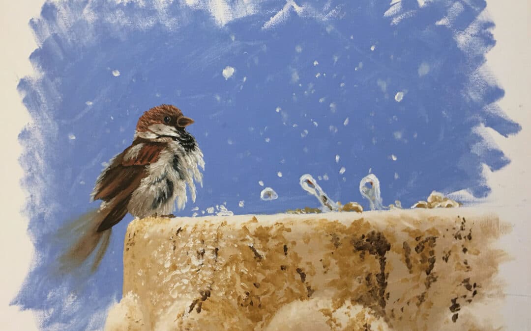 Paint a Bird at a Fountain
